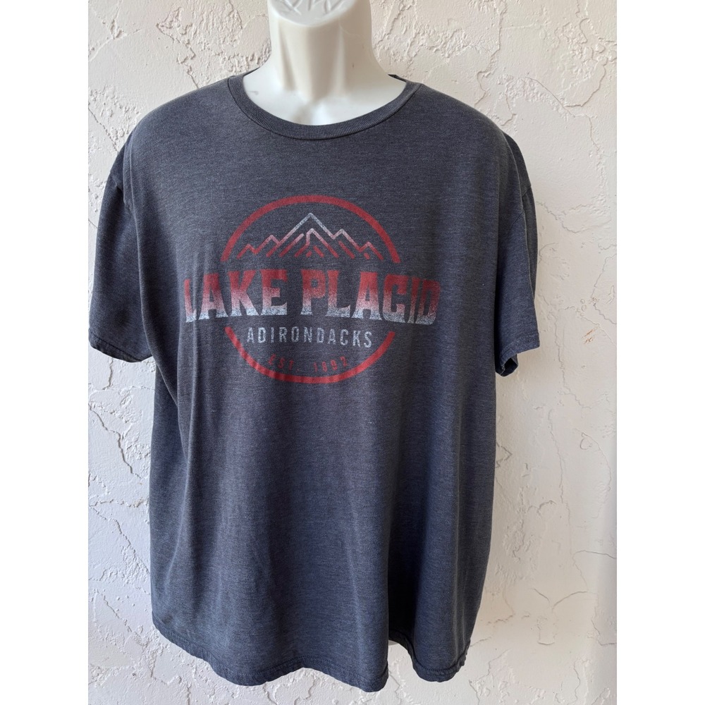 Lake Placid Adirondacks Graphic T-Shirt Men's Medium Charcoal Souvenir Tee XL